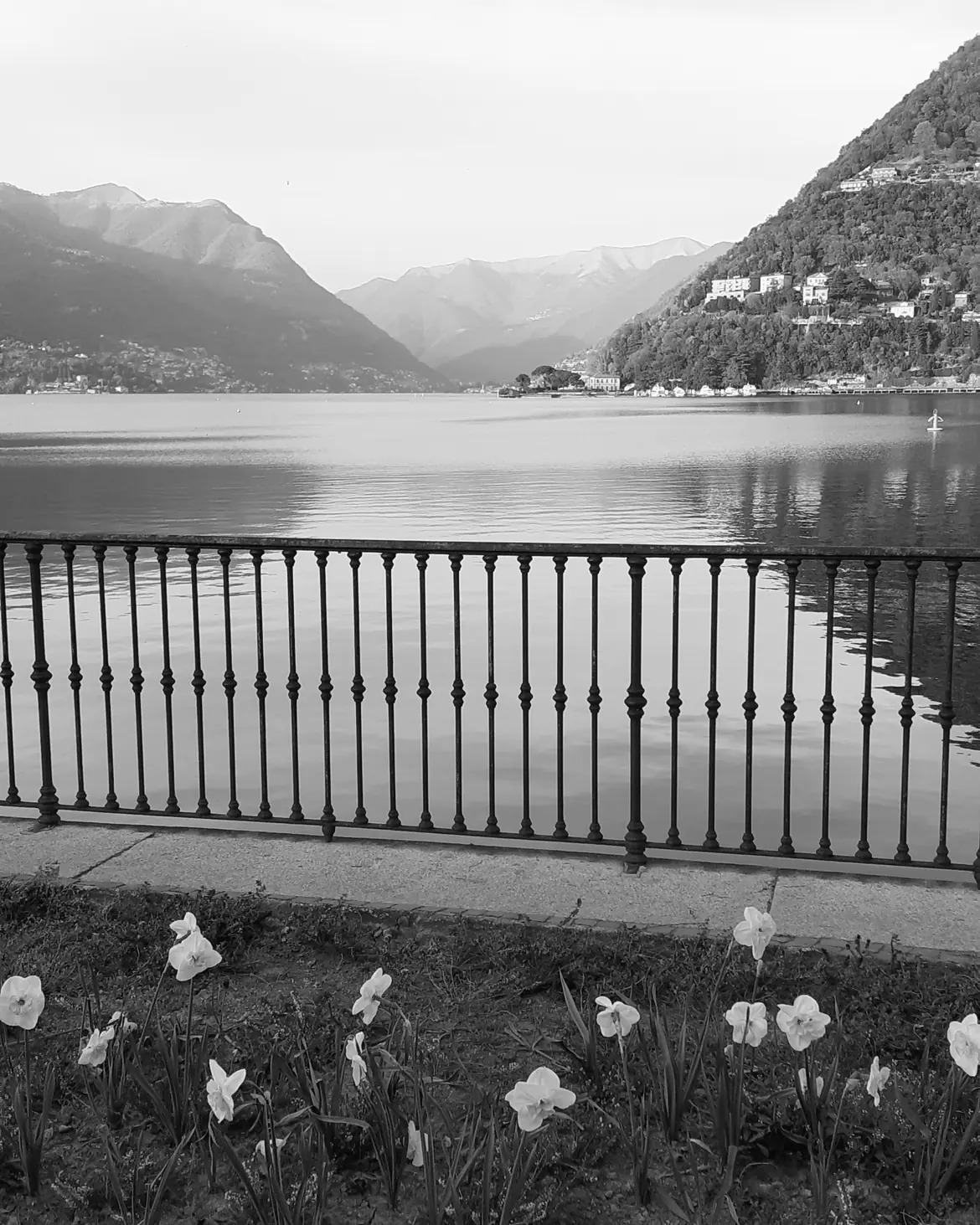La ringhiera del lungolago di Como, il lago calmo e i monti, in bianco e nero