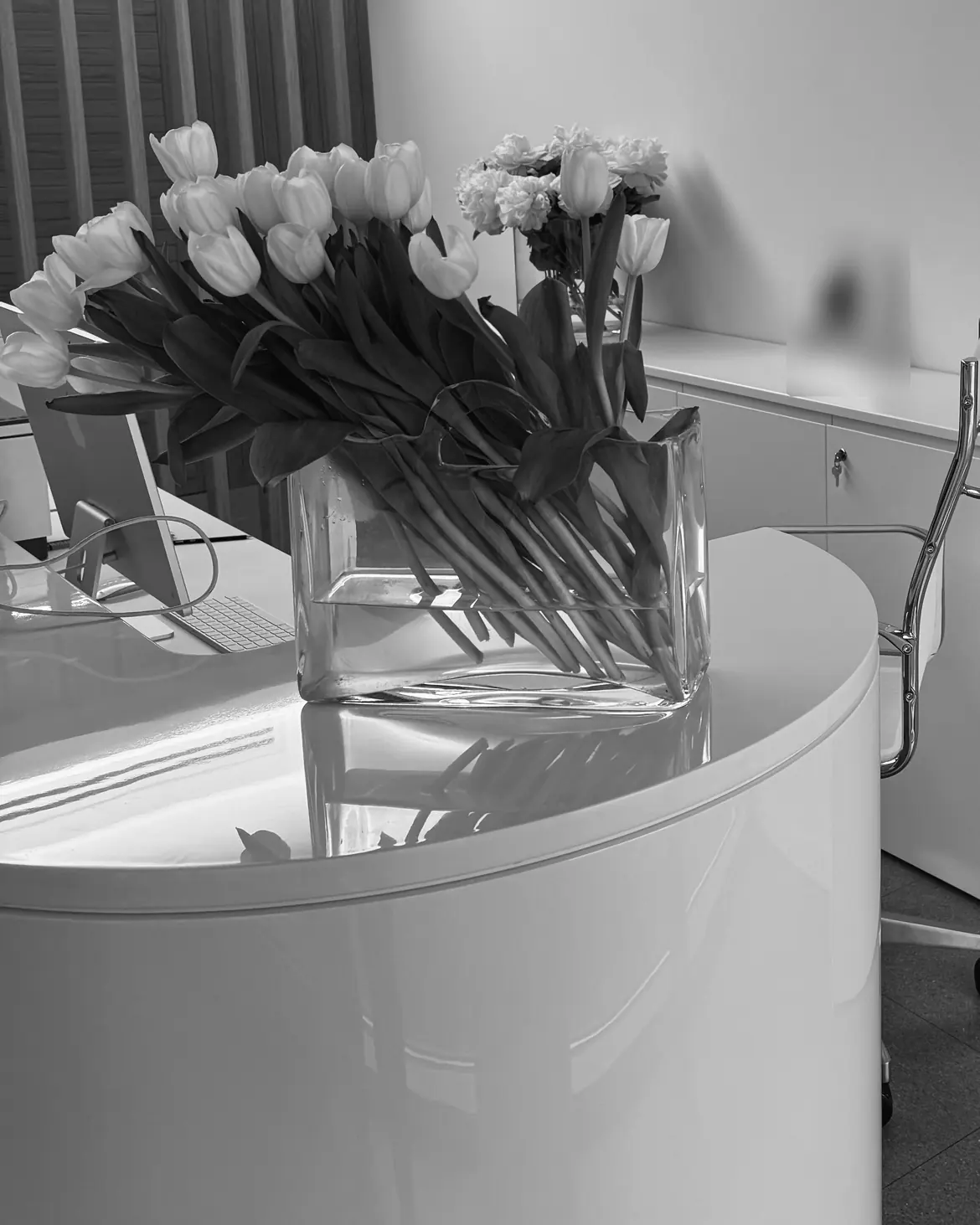 Il bancone curvo dello studio di Como con un vaso di tulipani